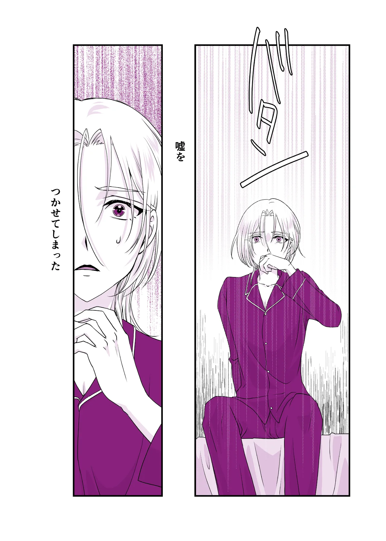 嘘つきで臆病で完璧な兄 - page7