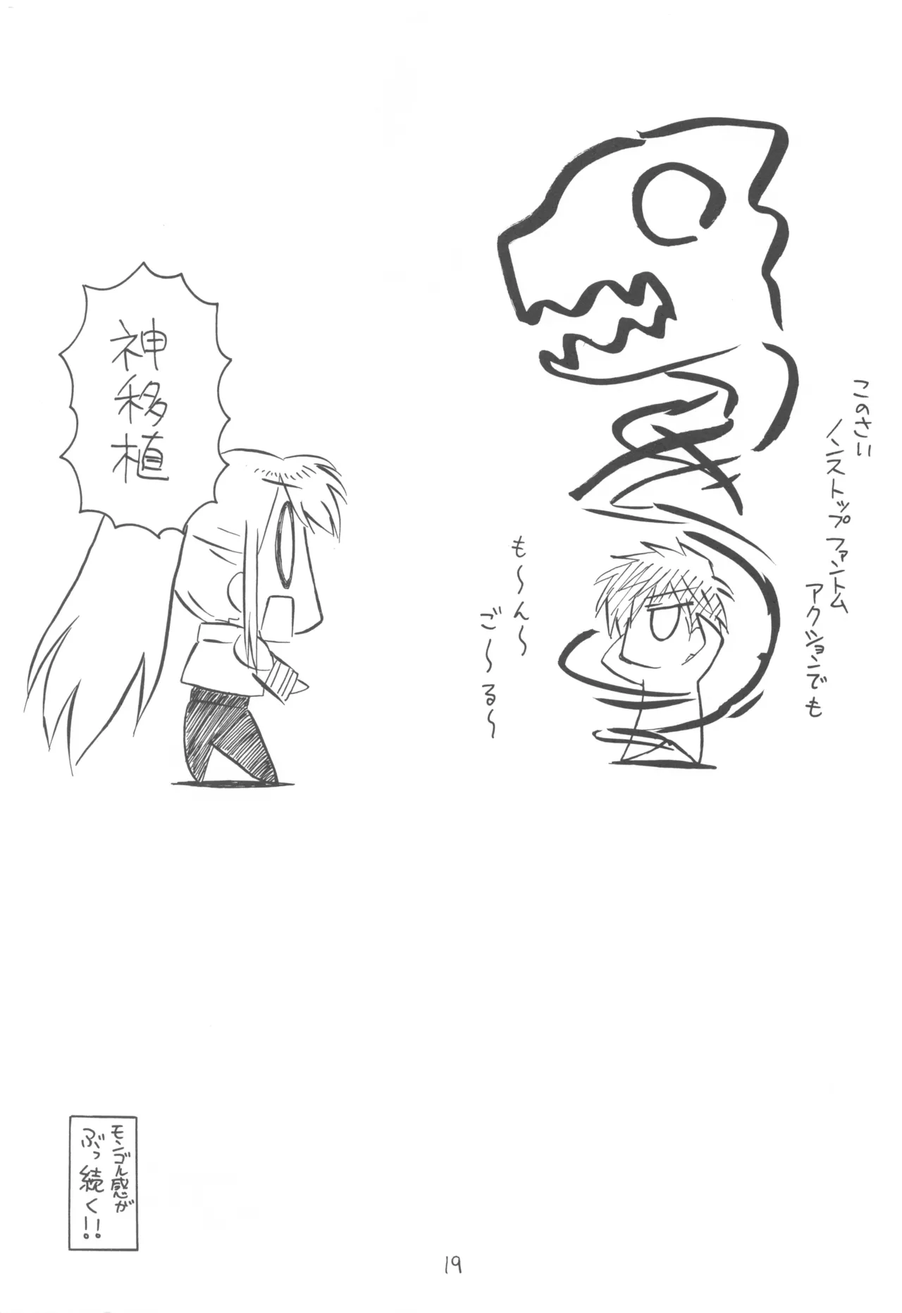 FANTOM INTEGRATION - page19