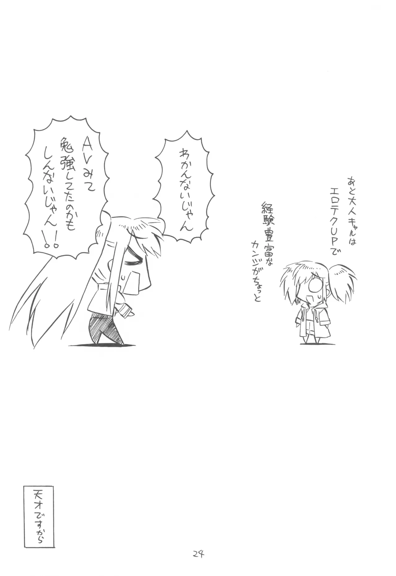 FANTOM INTEGRATION - page24