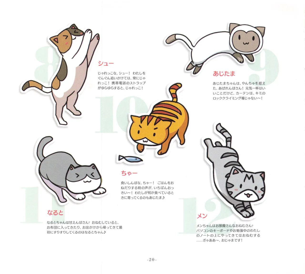 Sonicomi Limited Edition Super Sonico Private Book - page21