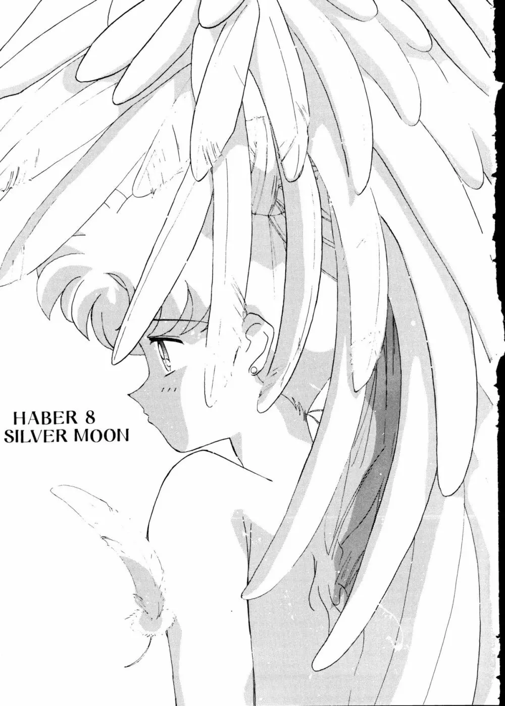 [梅助 (J・さいろー) HABER 8 SILVER MOON (セーラームーン) - page2