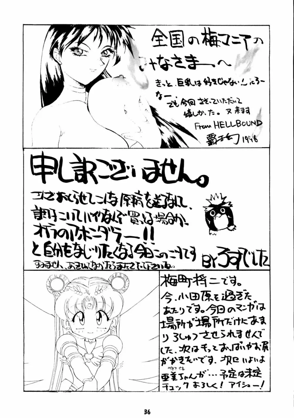 [梅助 (J・さいろー) HABER 8 SILVER MOON (セーラームーン) - page35
