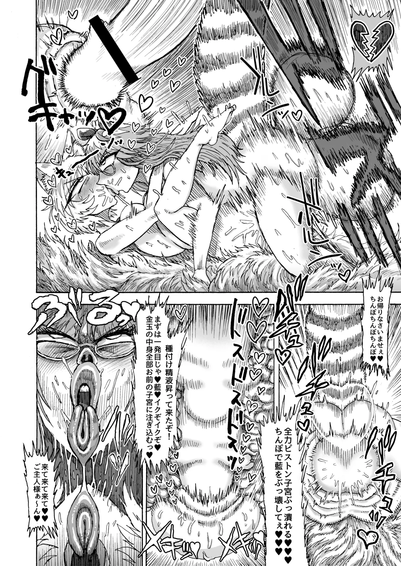八雲藍VS二ッ岩マミゾウ - page15