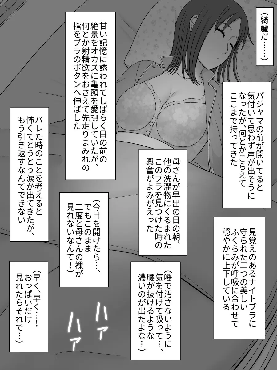 実母相姦 静 ―母に帰る日― - page23