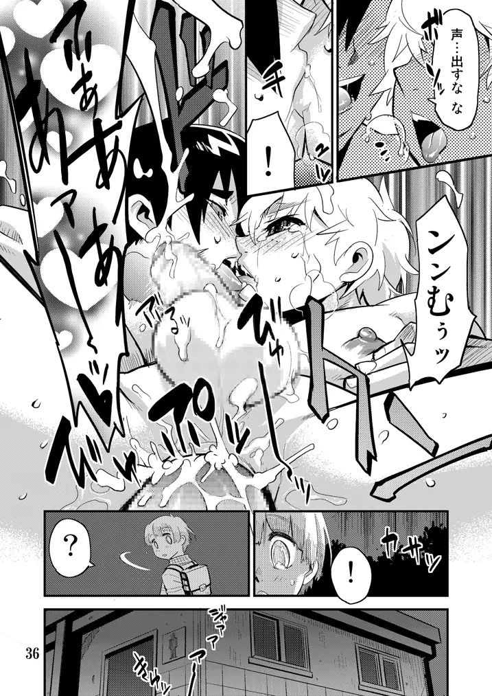 Desire Case File ～トウマとセイジの場合～ - page37