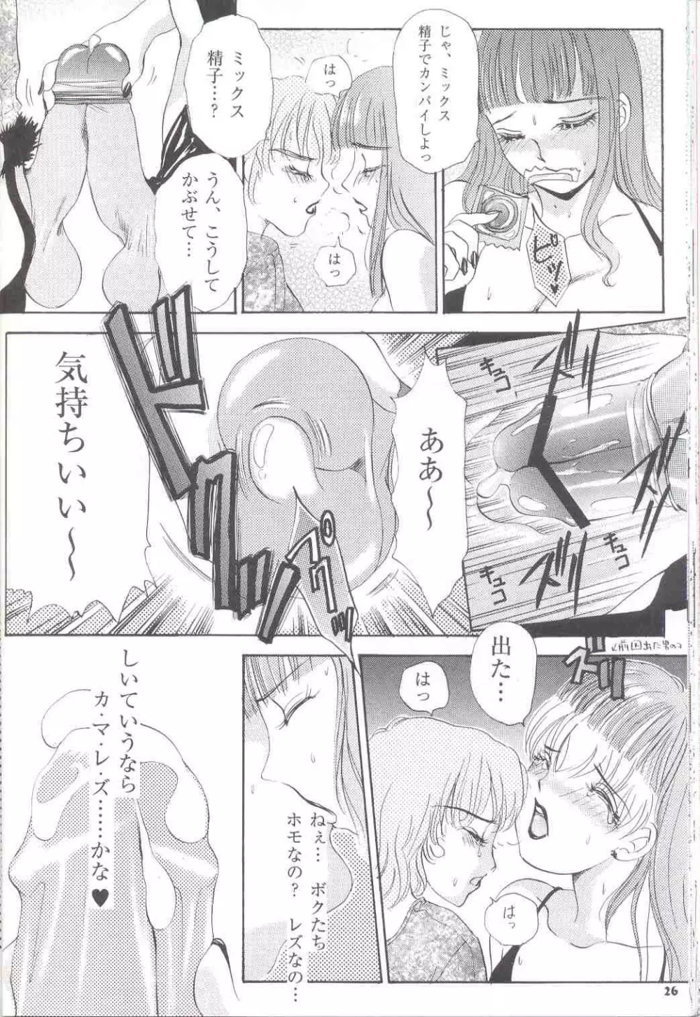 Shemale Behaviour 13 - page26