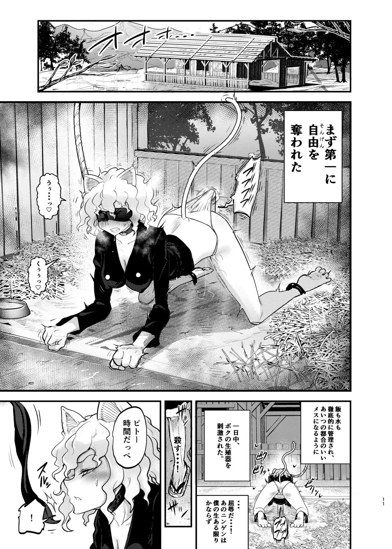 調教師 操作系なんてボク知らない！ - page11