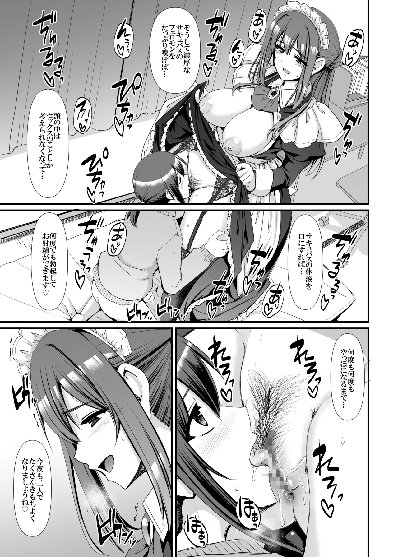 あまあまサキュバスメイドリィゼさん - page26