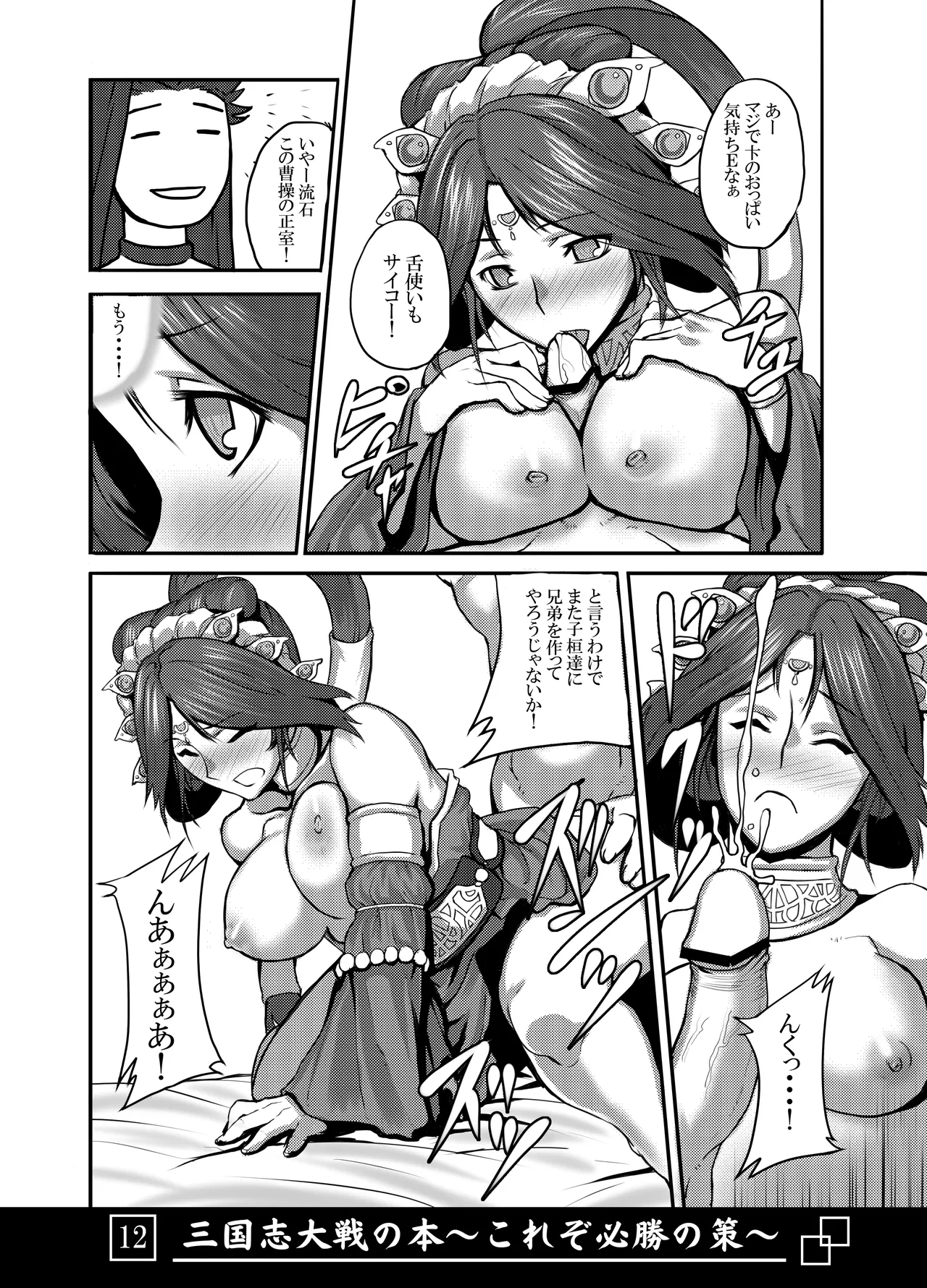 三国志大戦の本 ～これぞ必勝の策!～ - page13