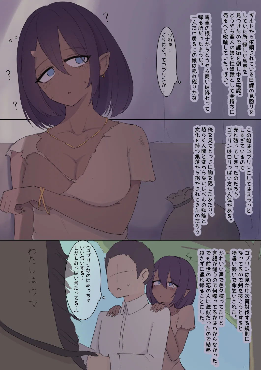 異世界メスゴブリン奴隷