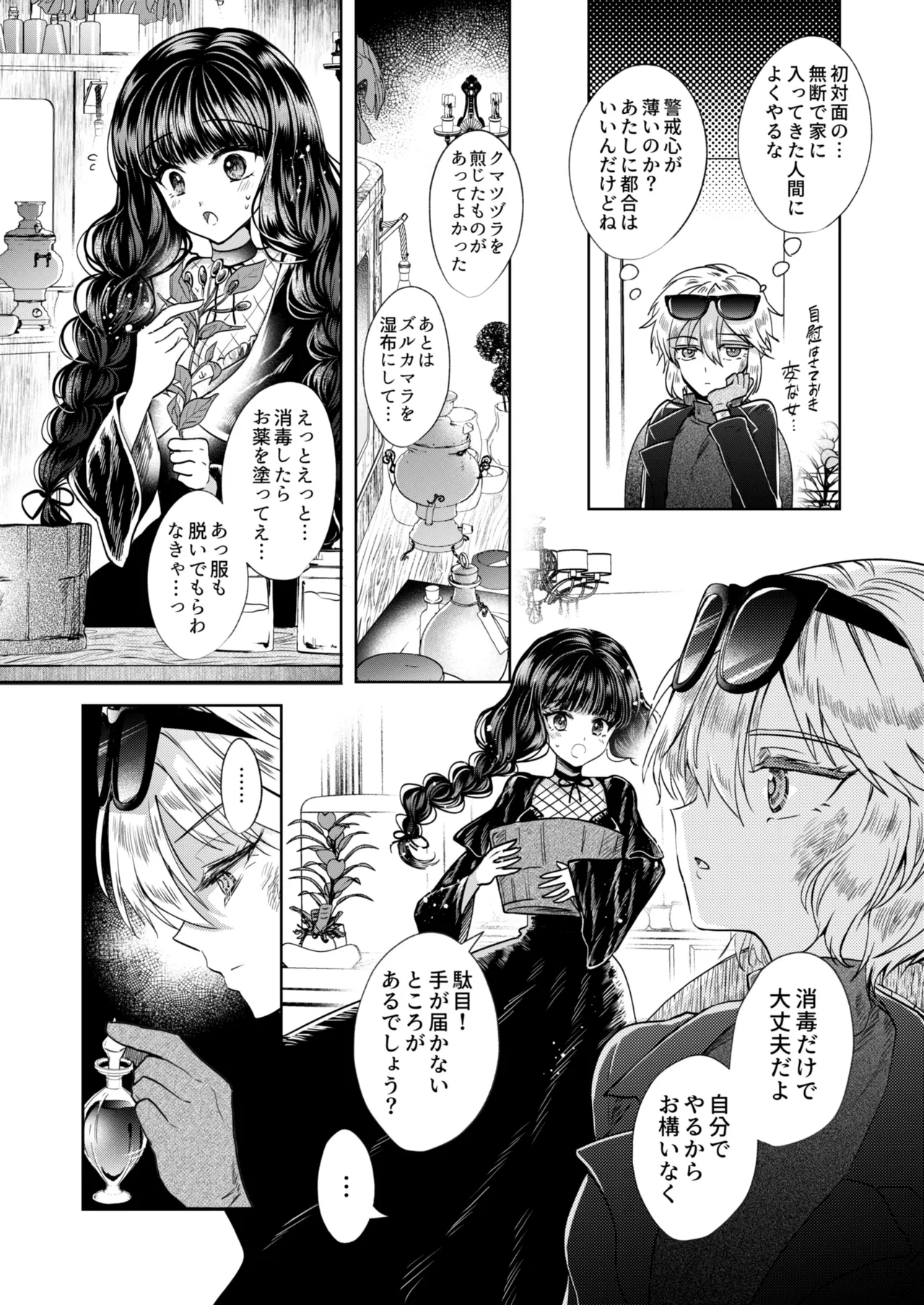 彼女と彼女の幸福原理 ～魔女は用心棒に恋をした～ - page11