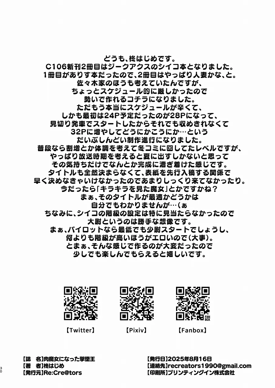 肉魔女になった撃墜王 - page29