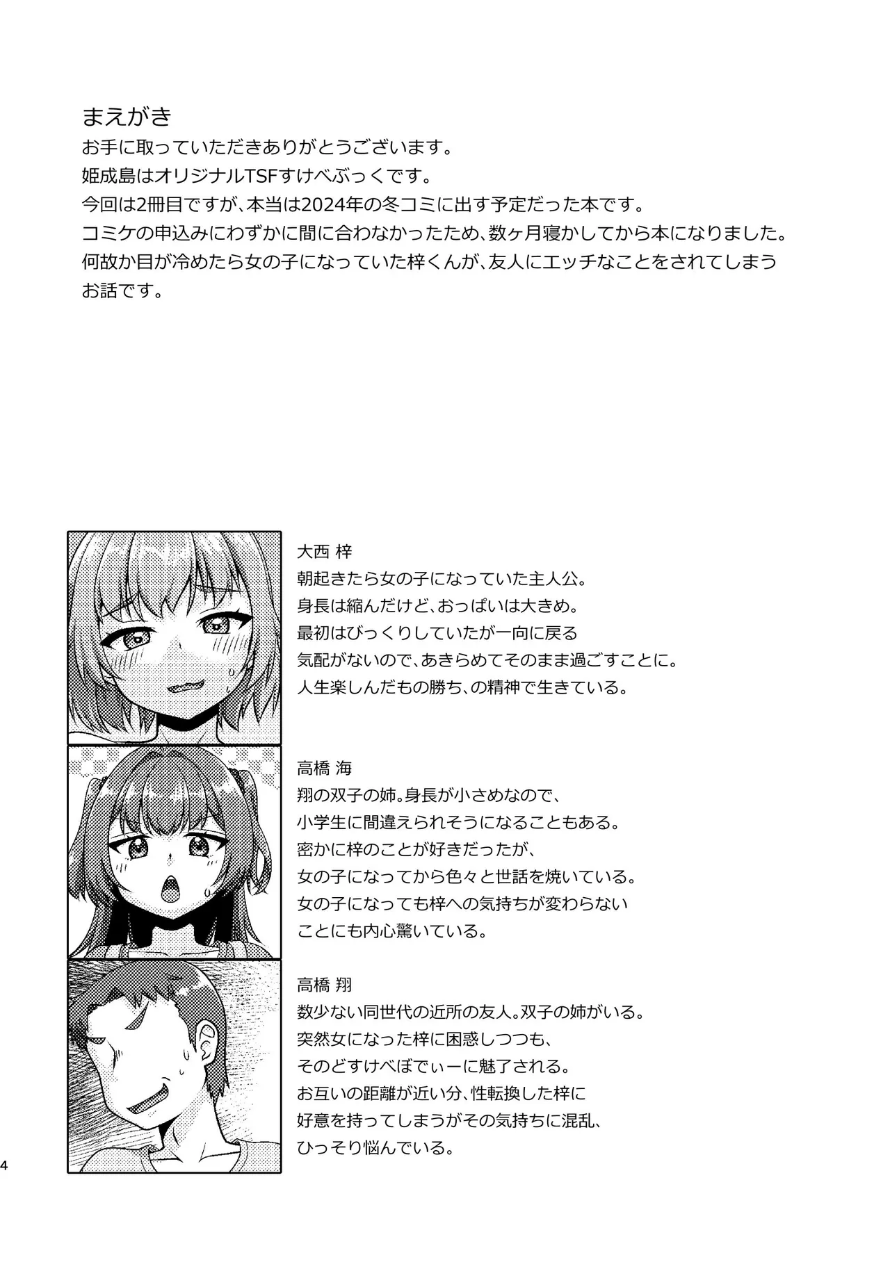 姫成島2 - page4