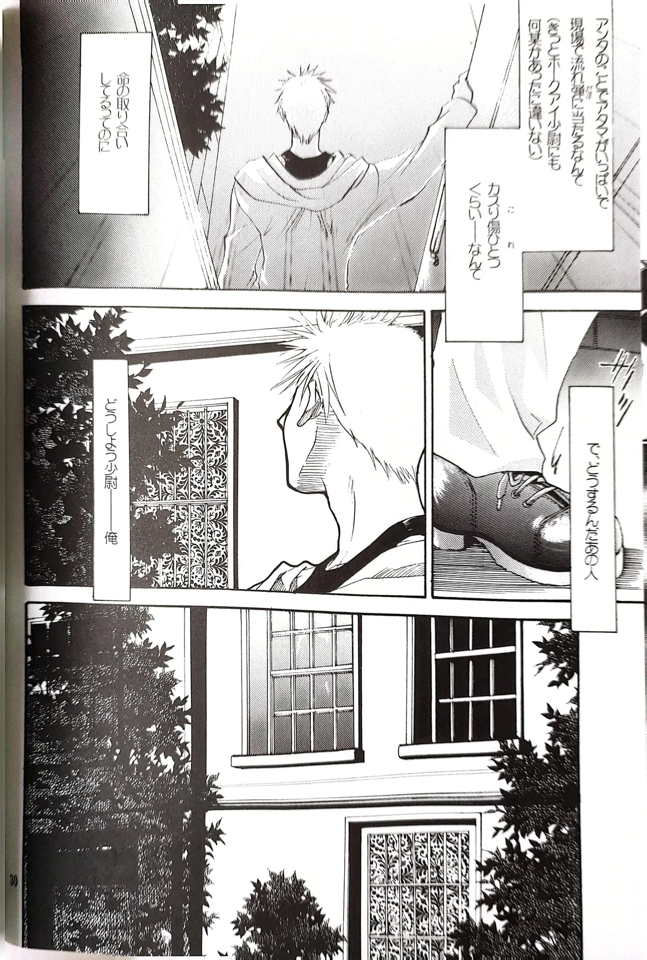 メシュウド - page29