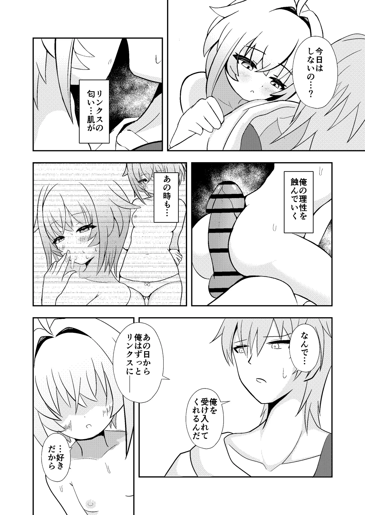 リンクスのぬくもり - page15
