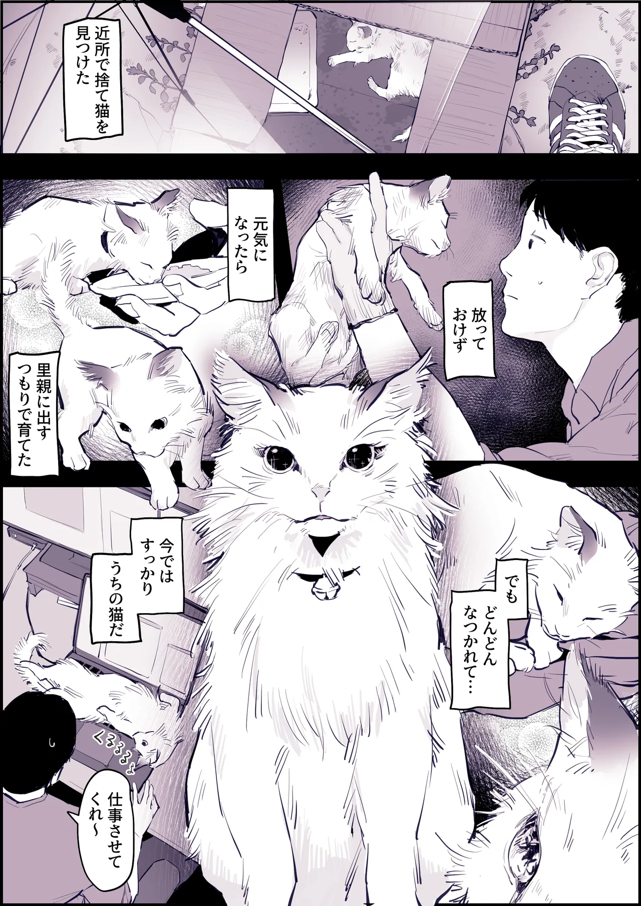 ぽりうれたん短編集 -淫- - page218