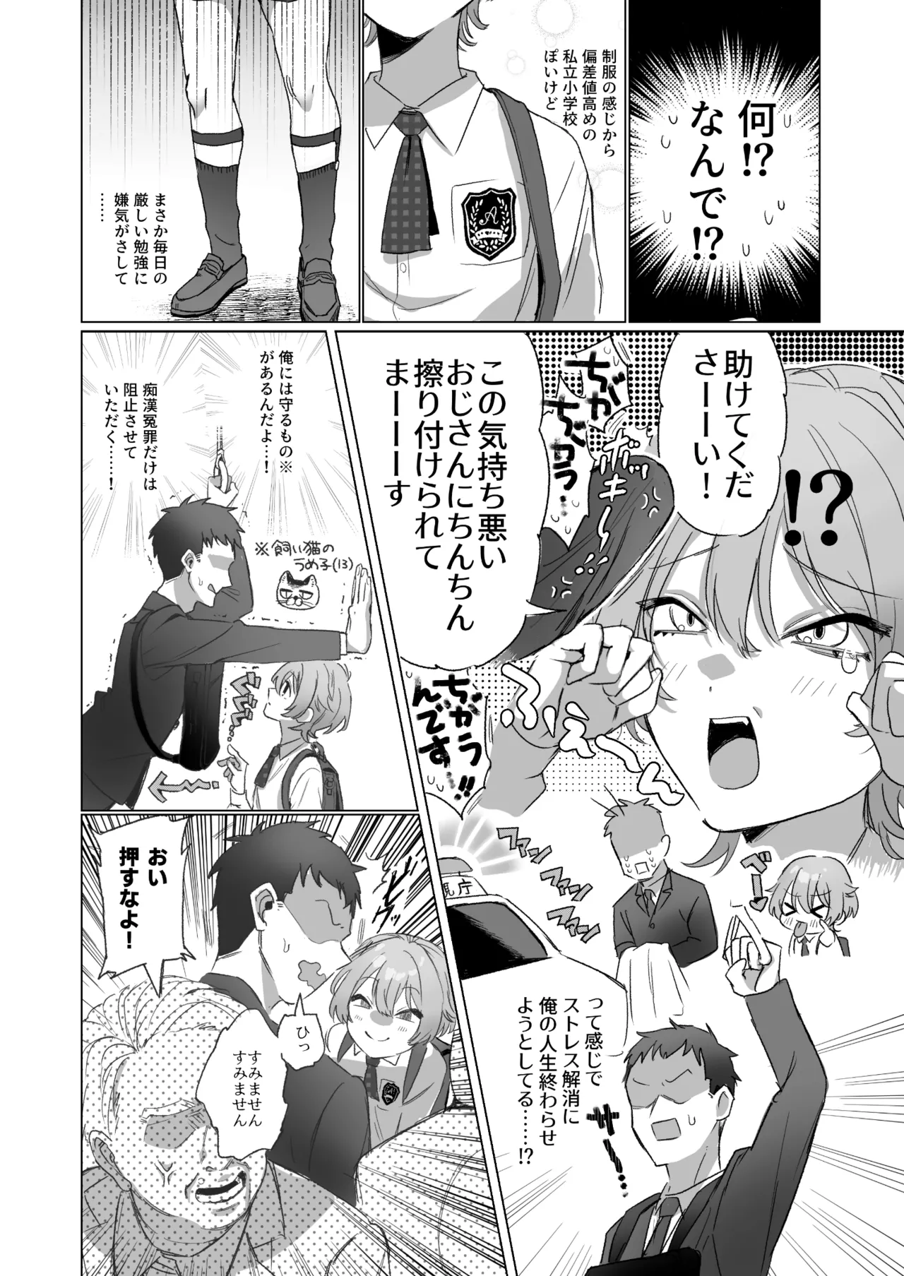 やたら顔の良いショタに痴○されて困っています！ - page3