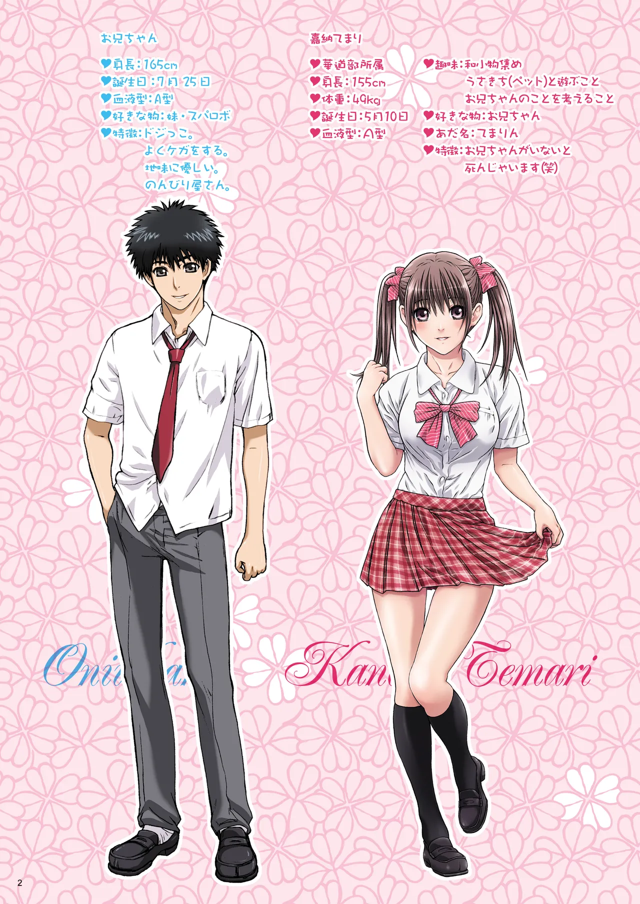 妹は僕の恋人〜20th Anniversary Set〜 - page2