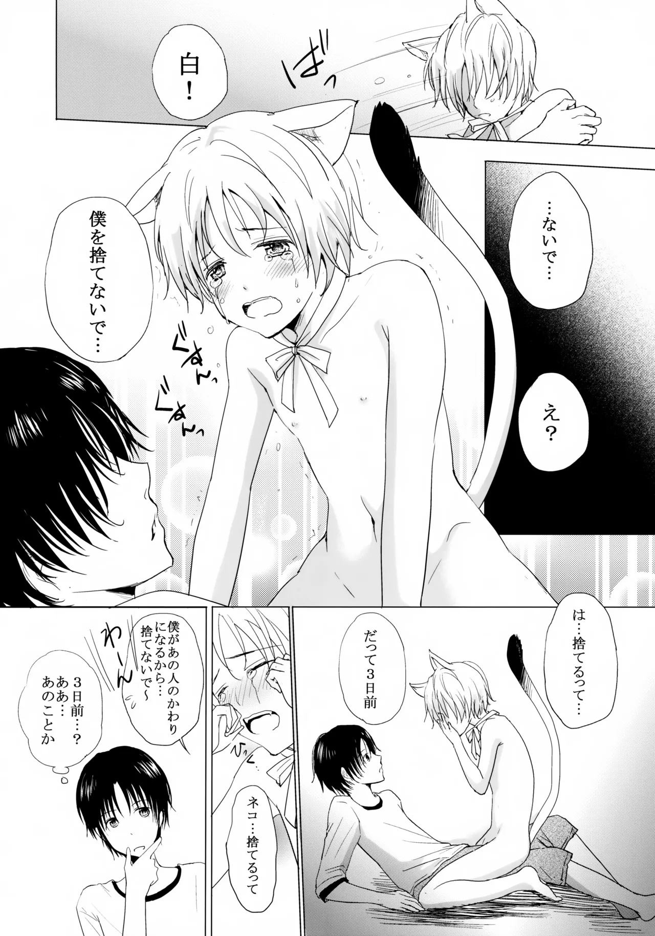 こねこびより - page11