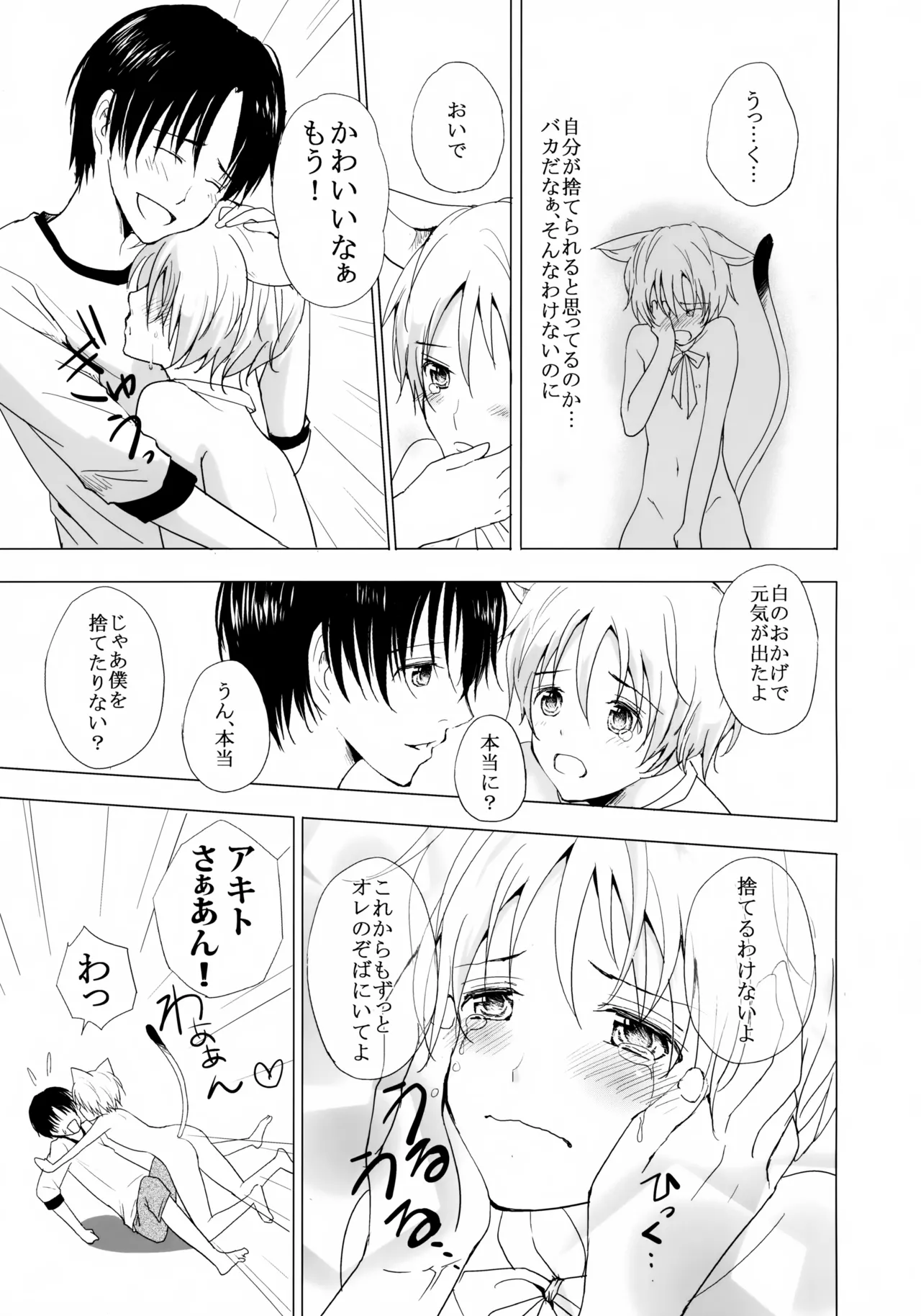 こねこびより - page12