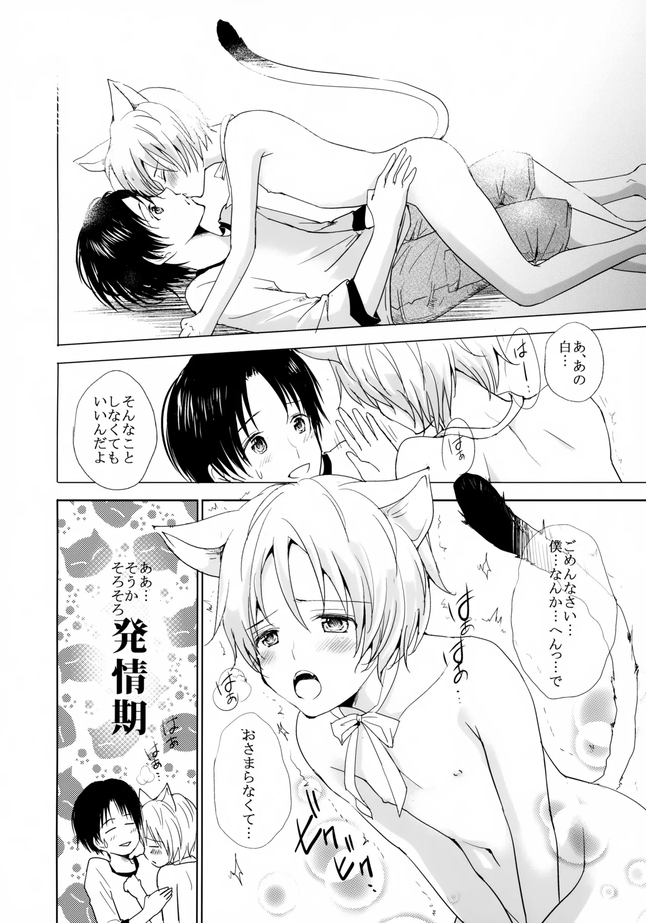 こねこびより - page13
