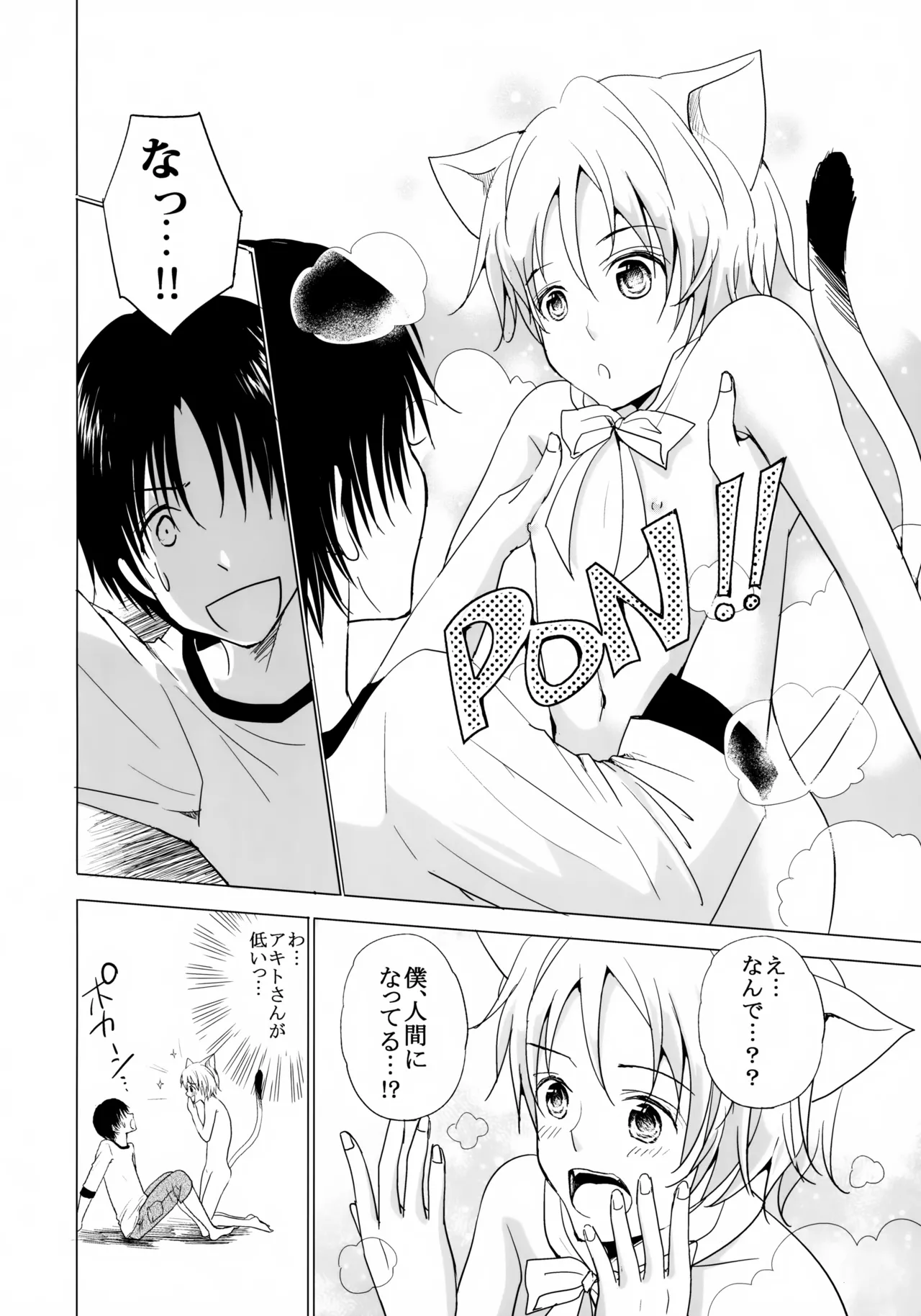 こねこびより - page7
