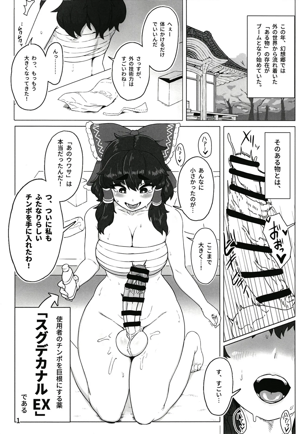 東方ふたなり事変 巫女と妖精、初めての尿道セックス - page3