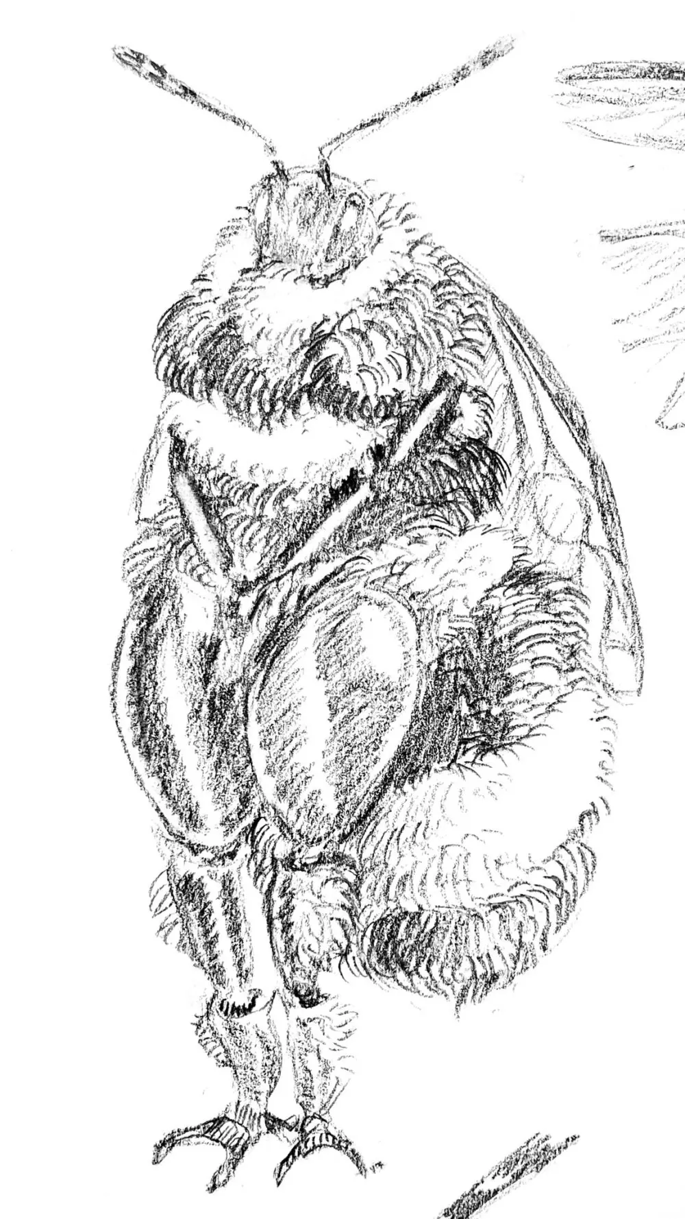 Goatboydraws compilation - page48