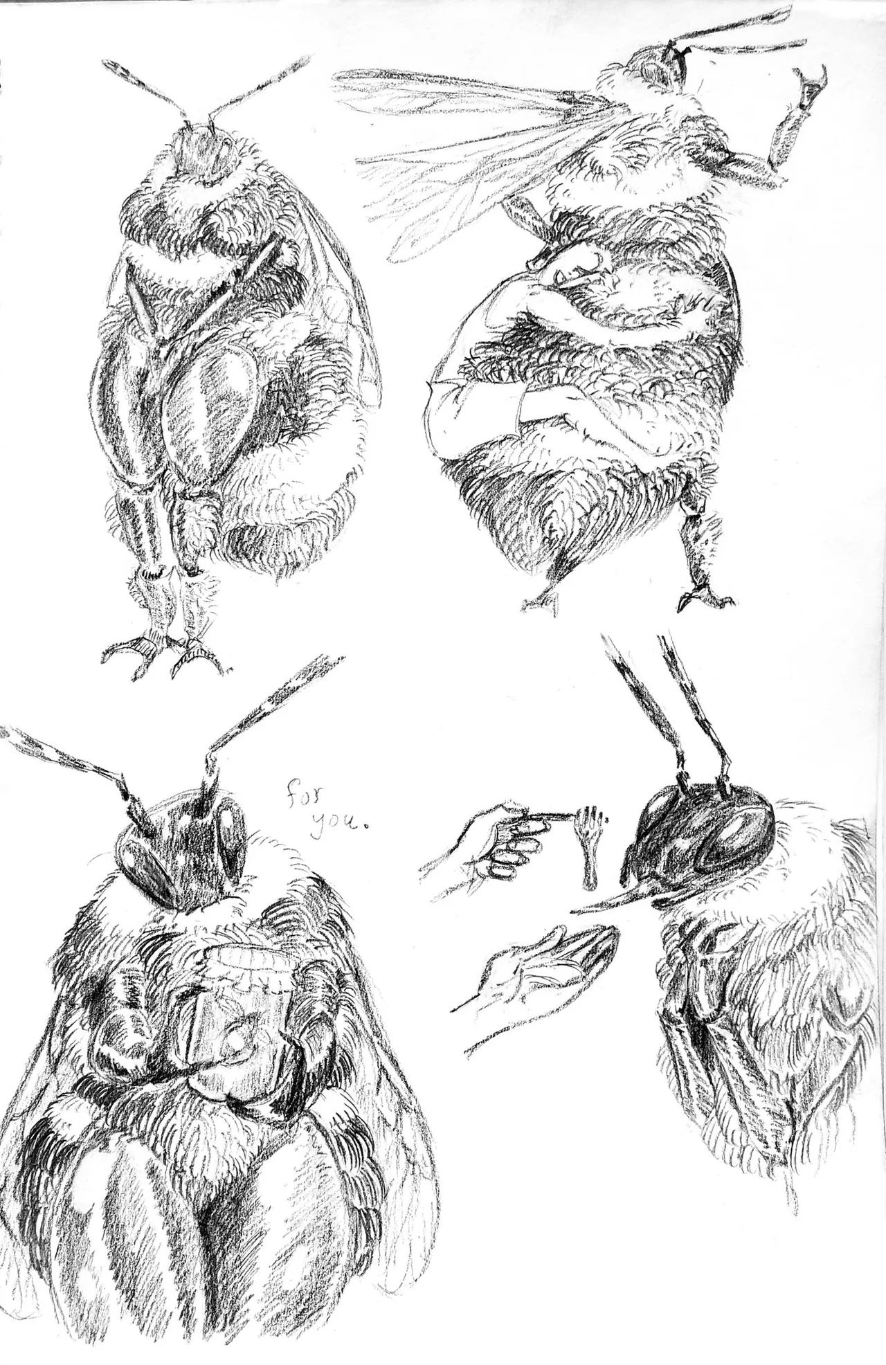 Goatboydraws compilation - page49