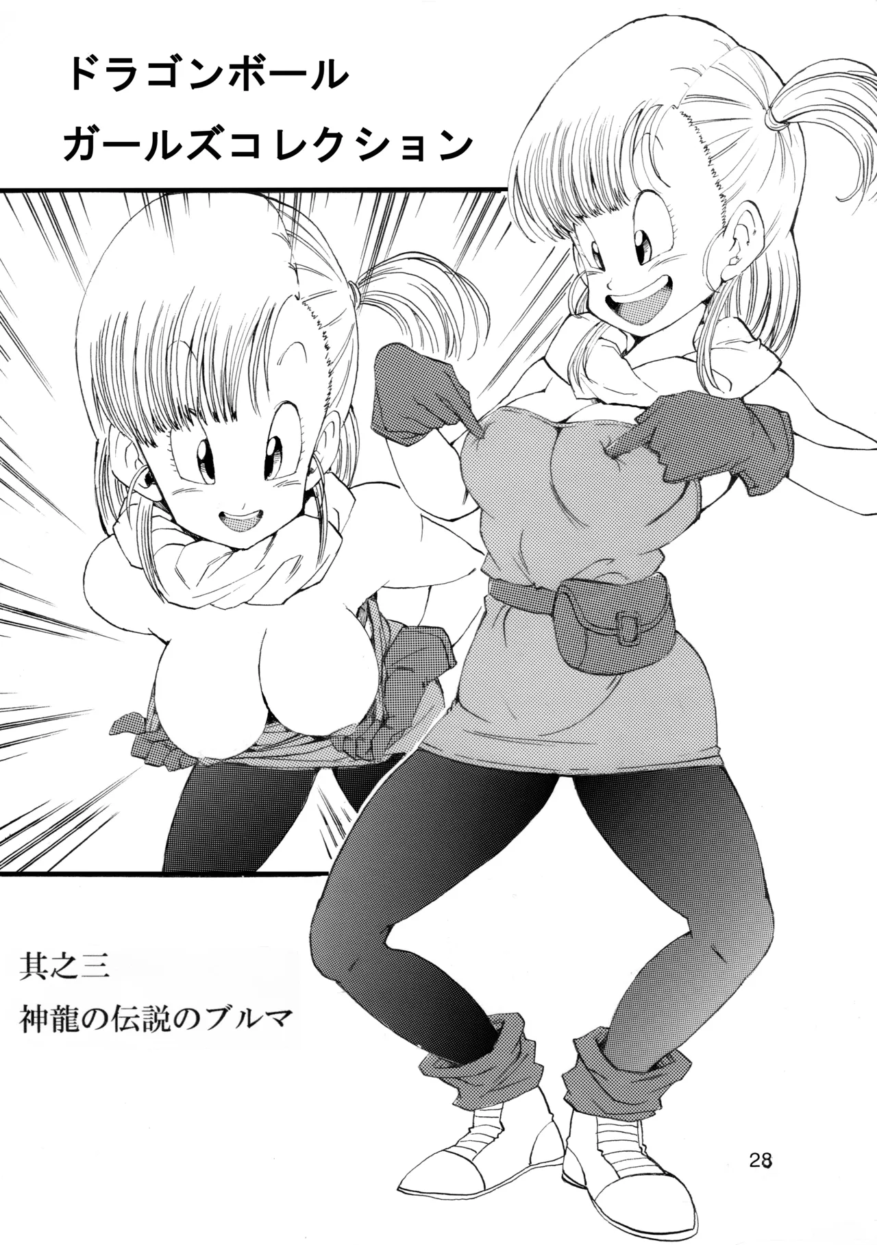 ドラゴンボールガールズコレクション1 - page29