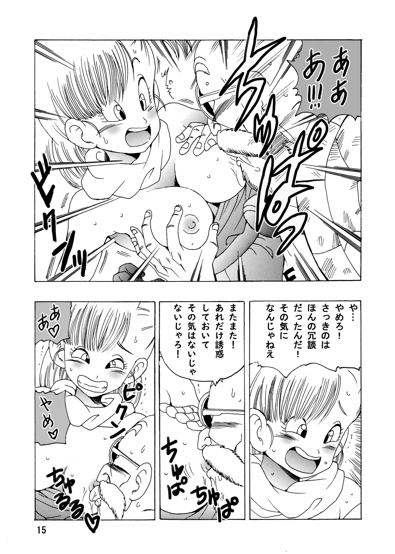 ブルマ本 ~神龍の伝説~ - page16