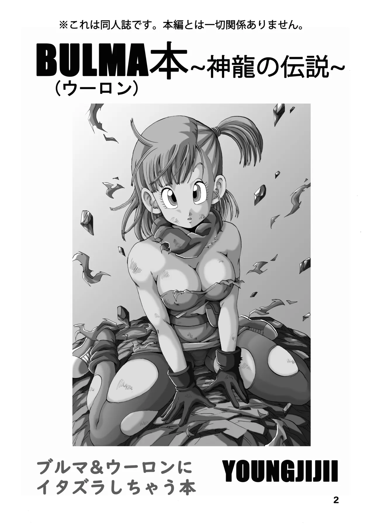 ブルマ本 ~神龍の伝説~ - page3