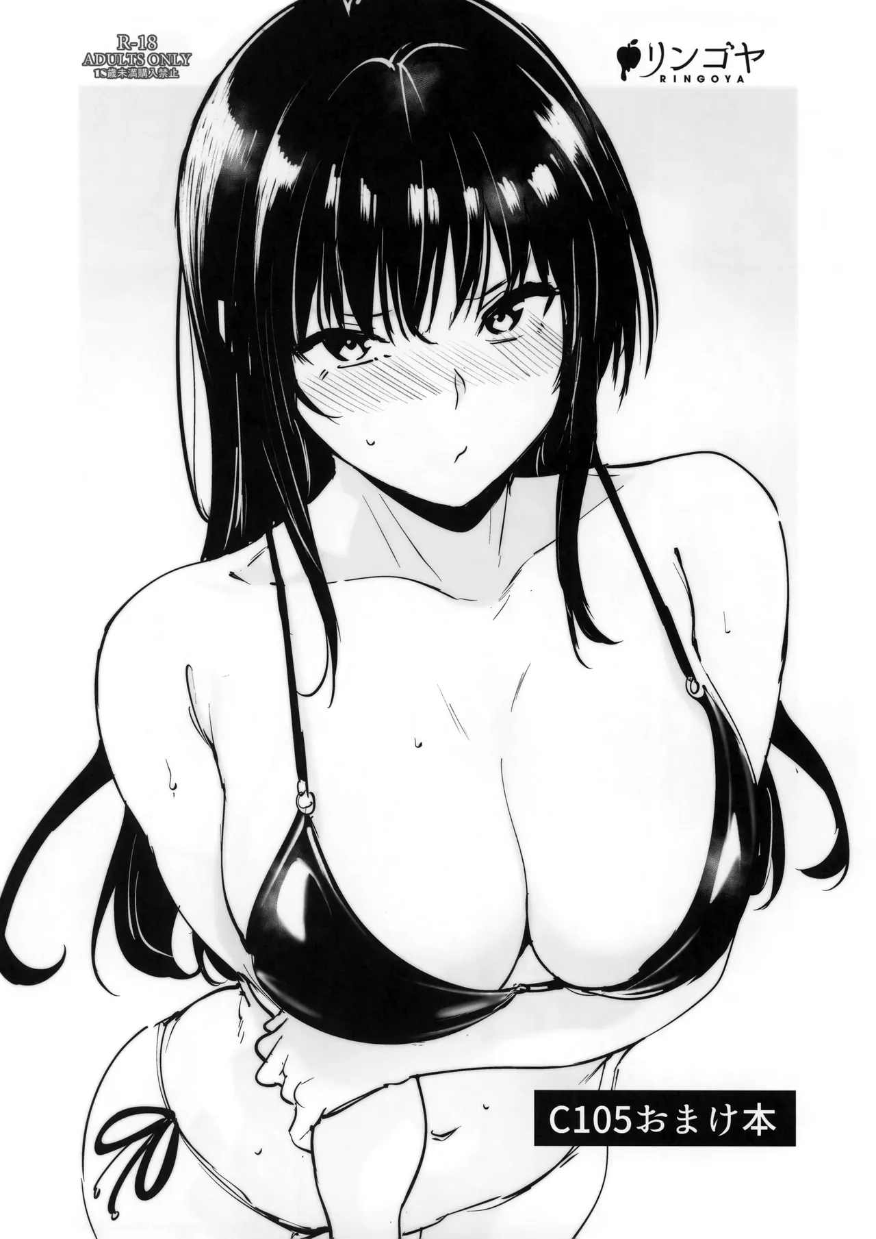 C105 おまけ本