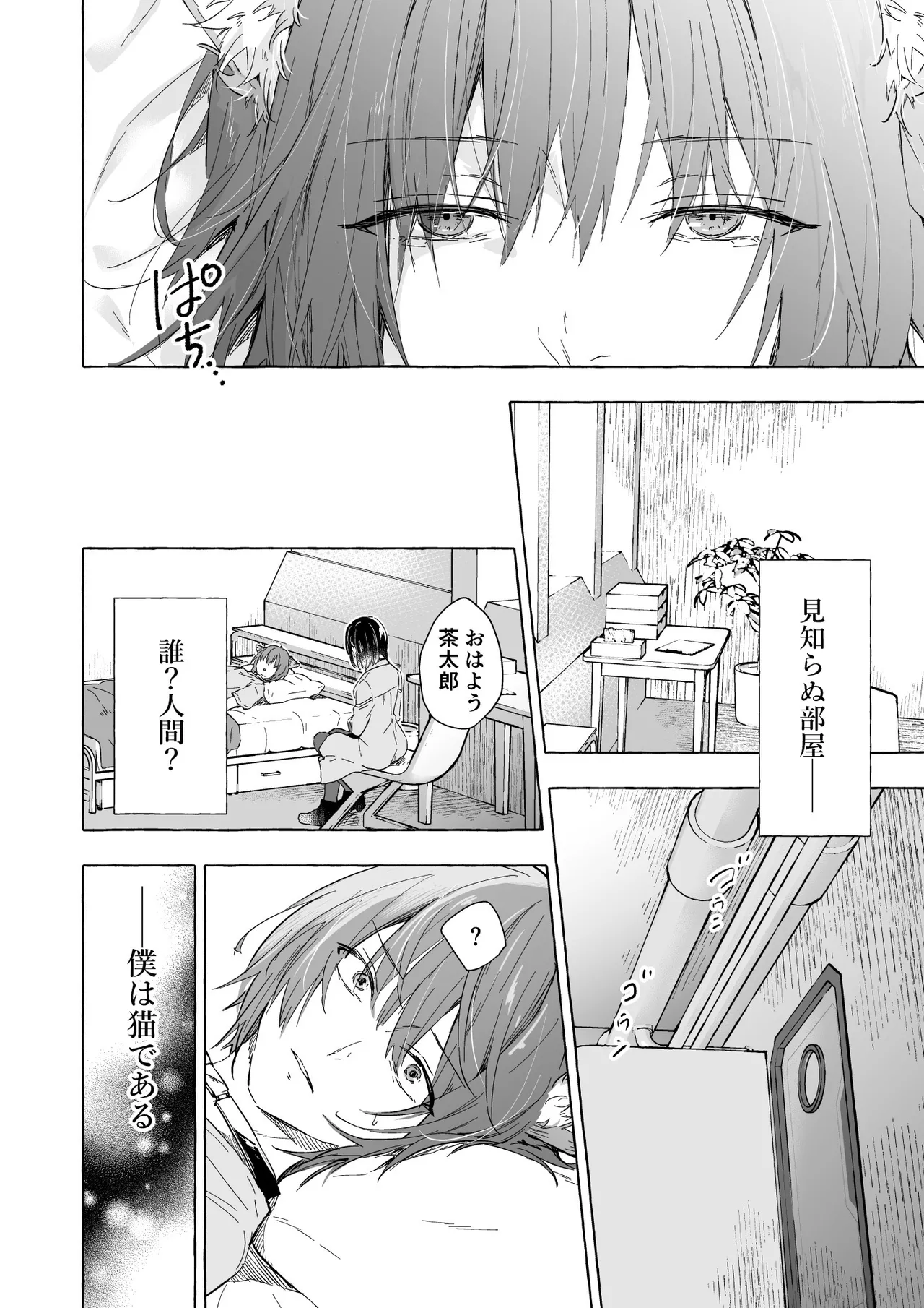 人間になったボクとキミとの4年間 - page5