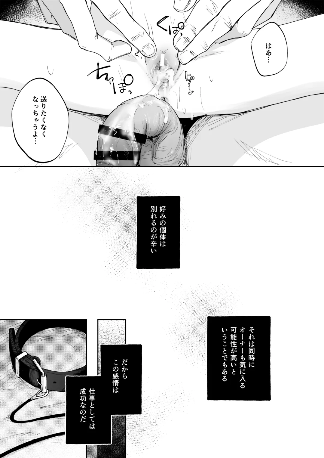 (C106) [しぷおる] 調整記録 ご主人様(あなた)の元へ届くまで [DL版] - page27