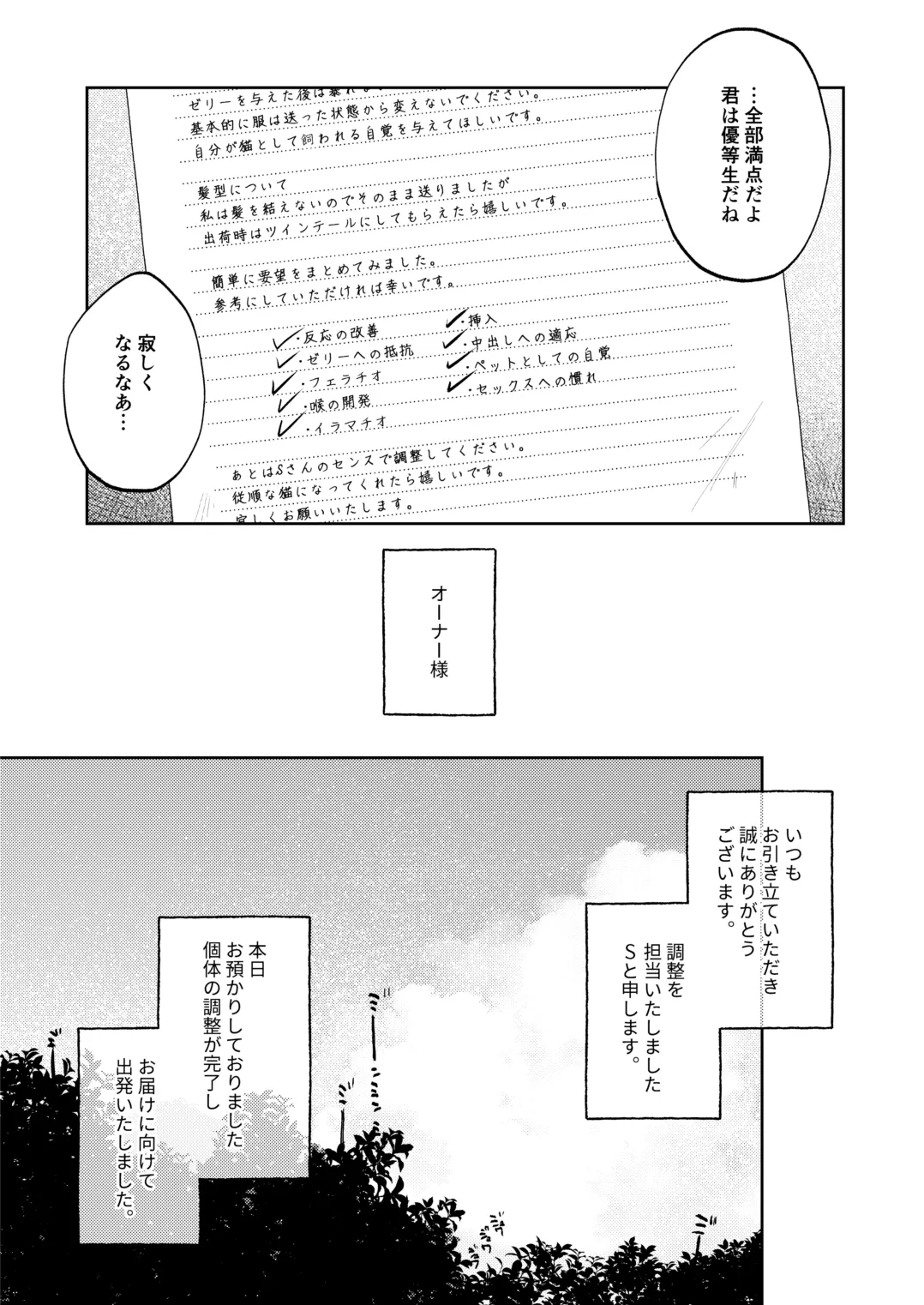 (C106) [しぷおる] 調整記録 ご主人様(あなた)の元へ届くまで [DL版] - page31