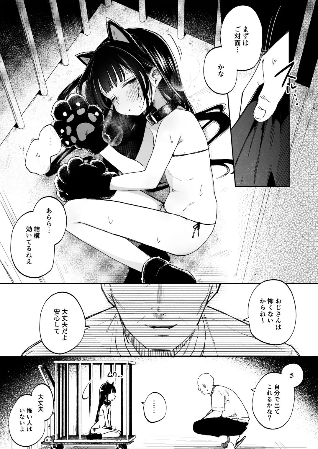 (C106) [しぷおる] 調整記録 ご主人様(あなた)の元へ届くまで [DL版] - page5