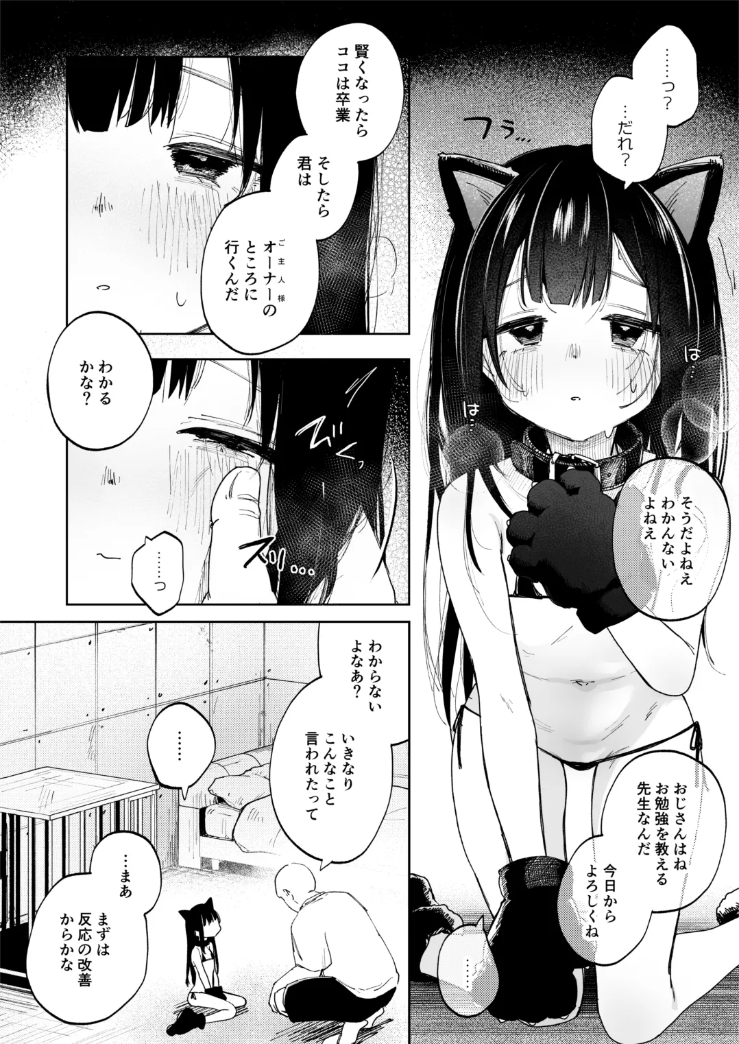 (C106) [しぷおる] 調整記録 ご主人様(あなた)の元へ届くまで [DL版] - page6