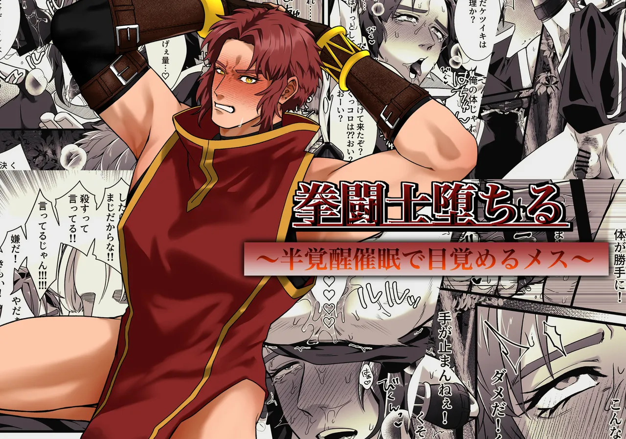拳闘士堕ちる