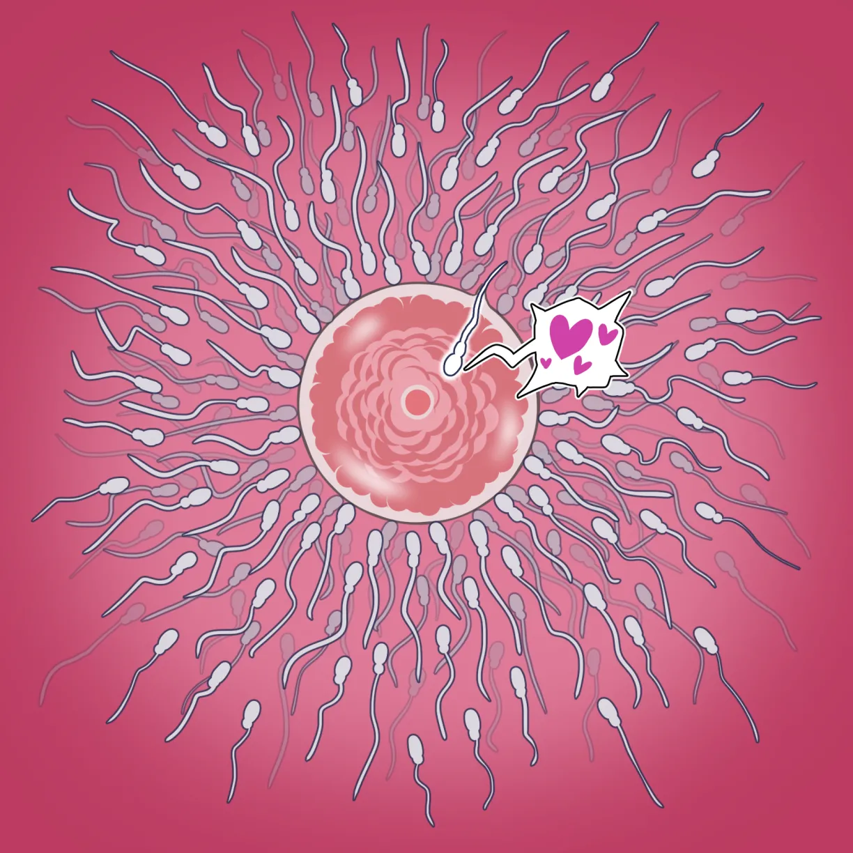 由美の留学 - page35