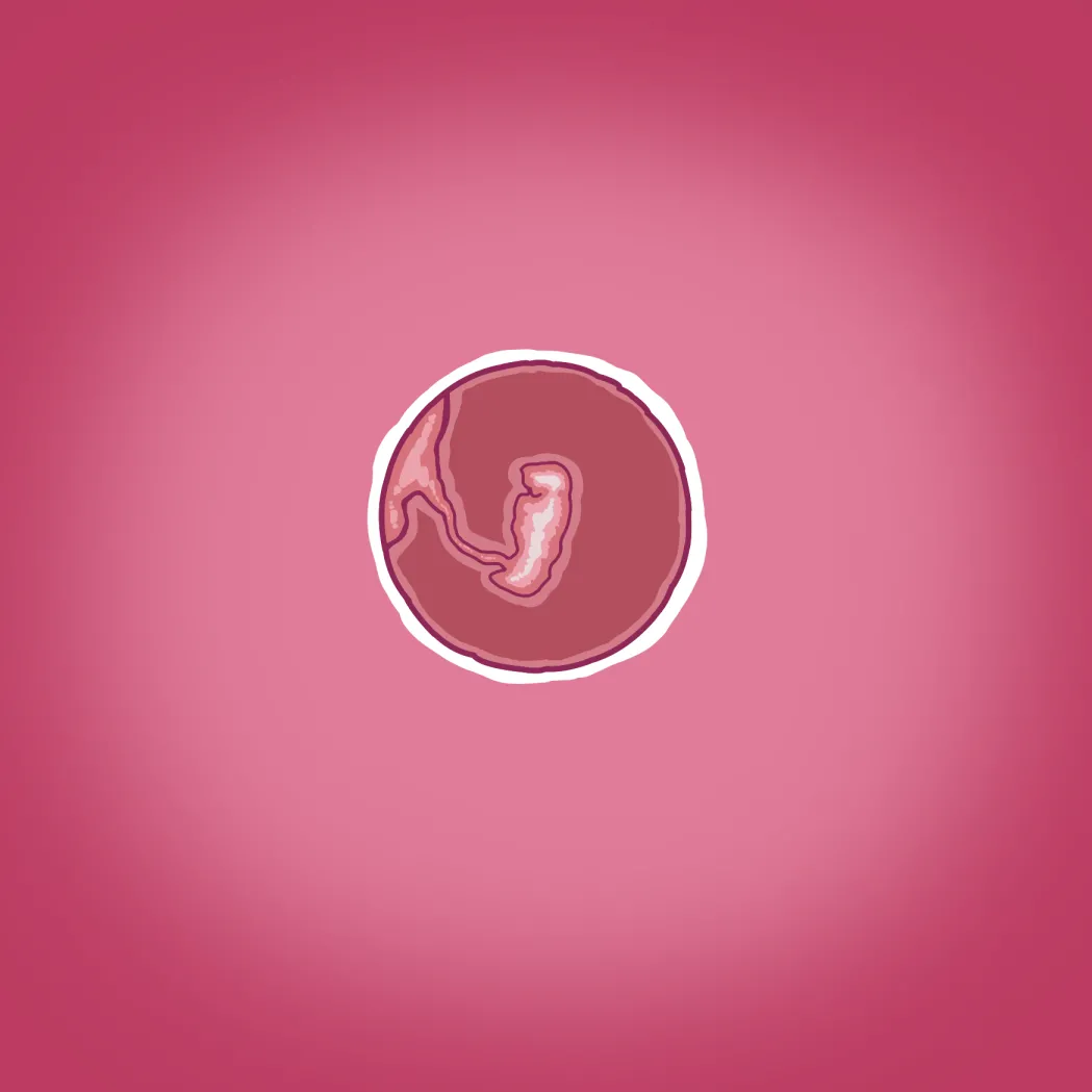 由美の留学 - page43