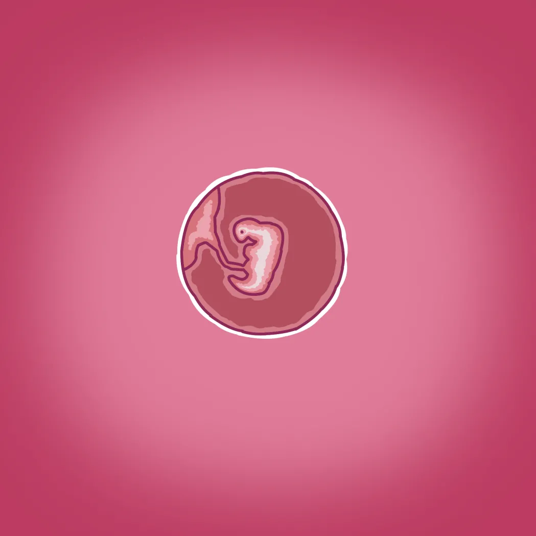 由美の留学 - page52