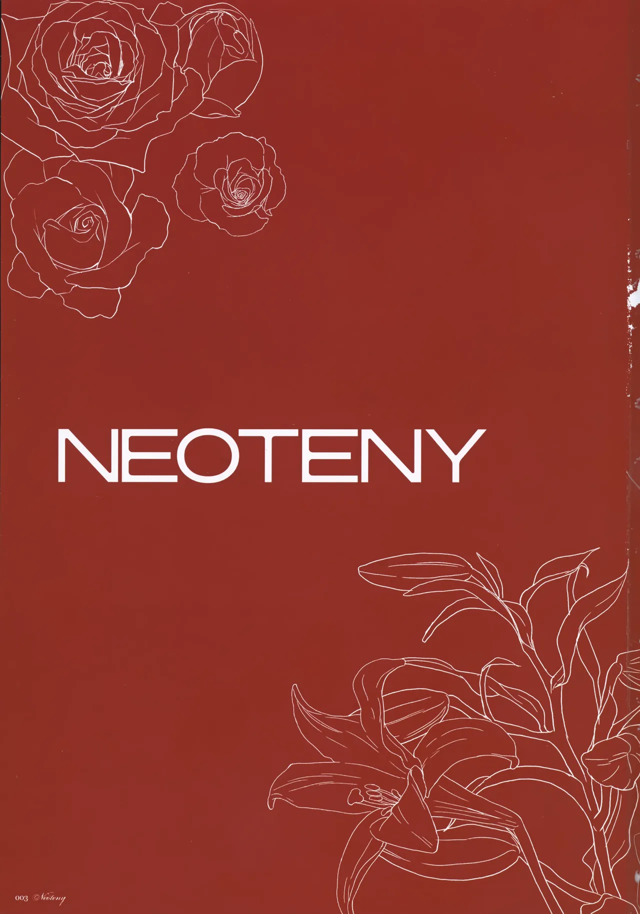 NEOTENY - page2