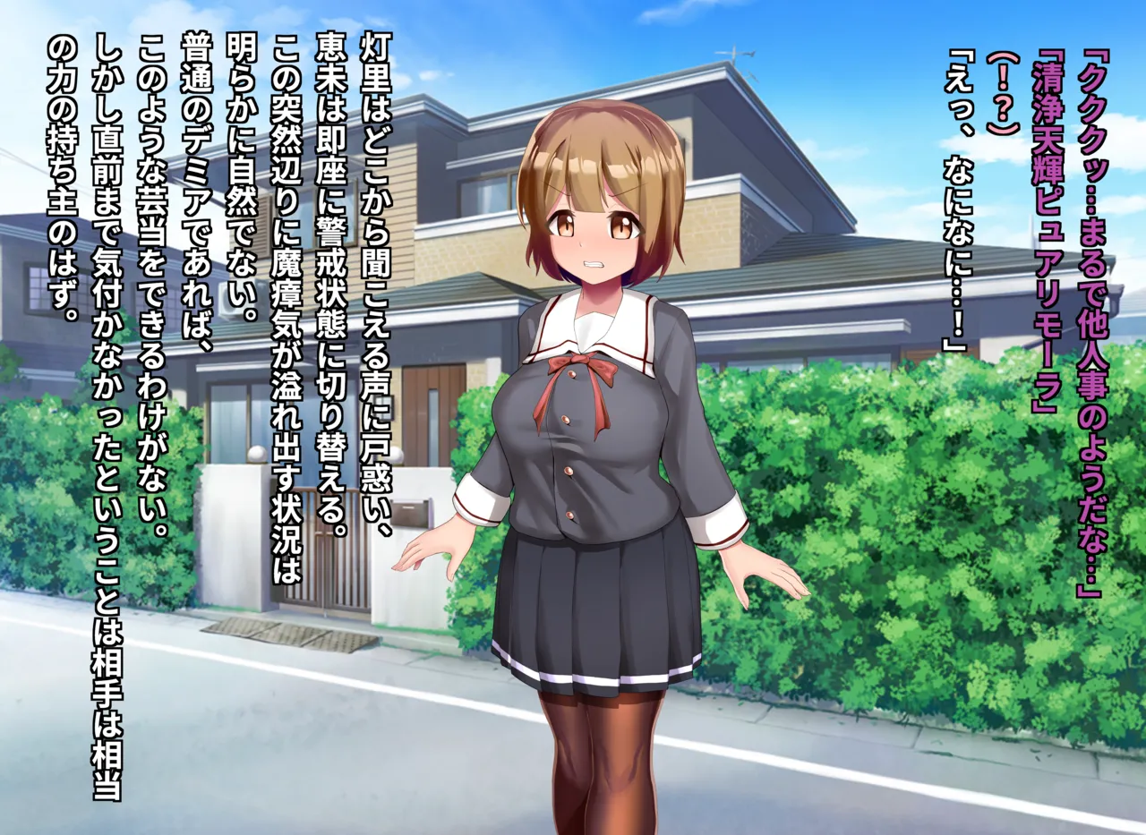 清浄天輝ピュアリモーラ - page23