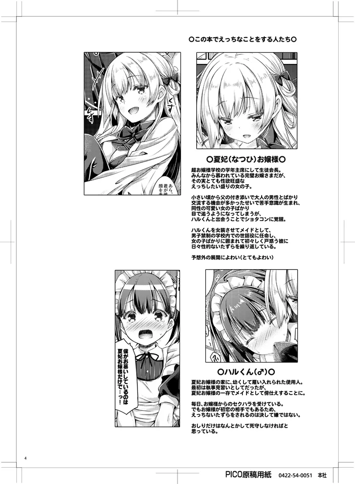 「僕」はお嬢様の愛玩メイド - page3