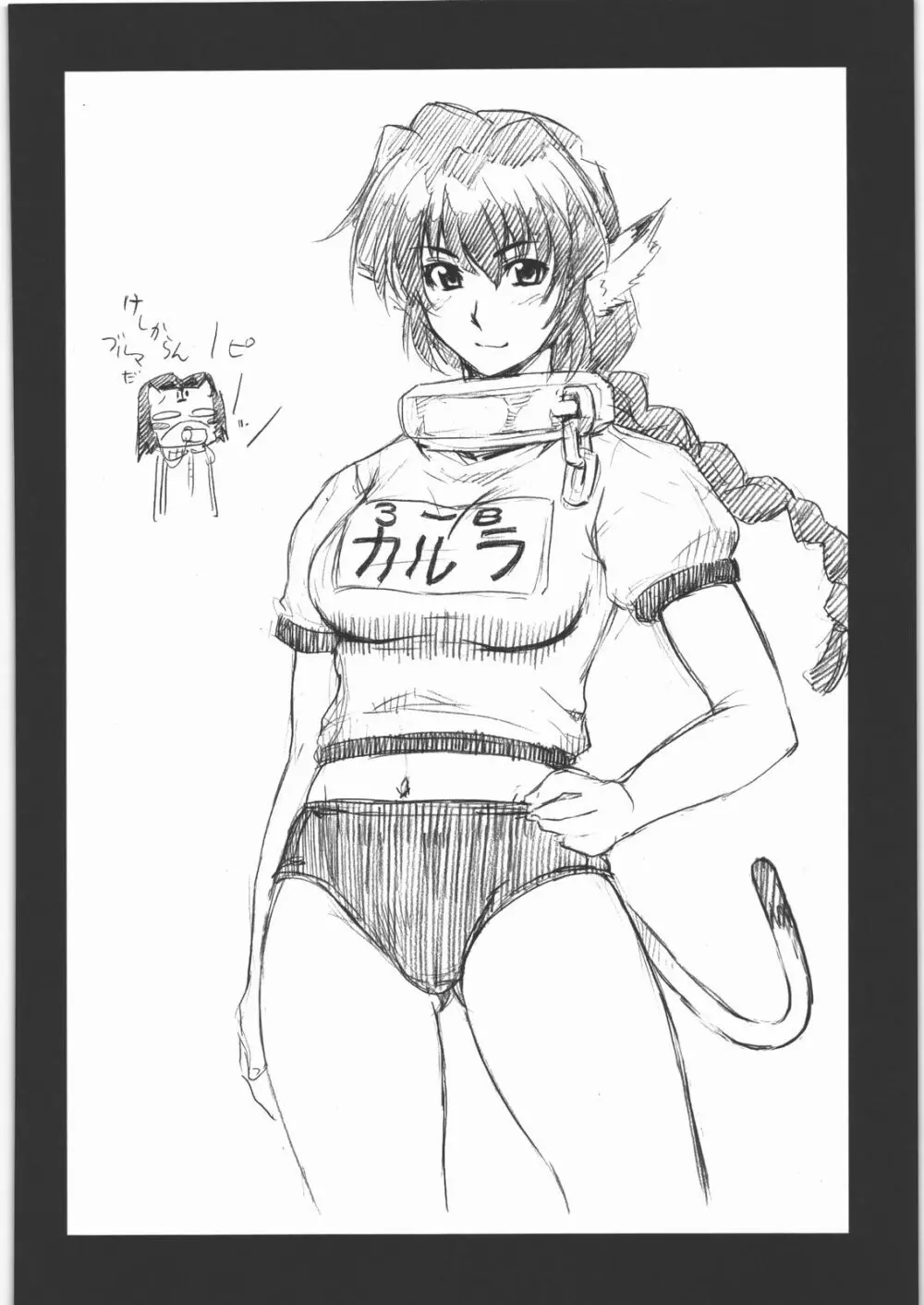 MACHWING '07'08'09 - page31