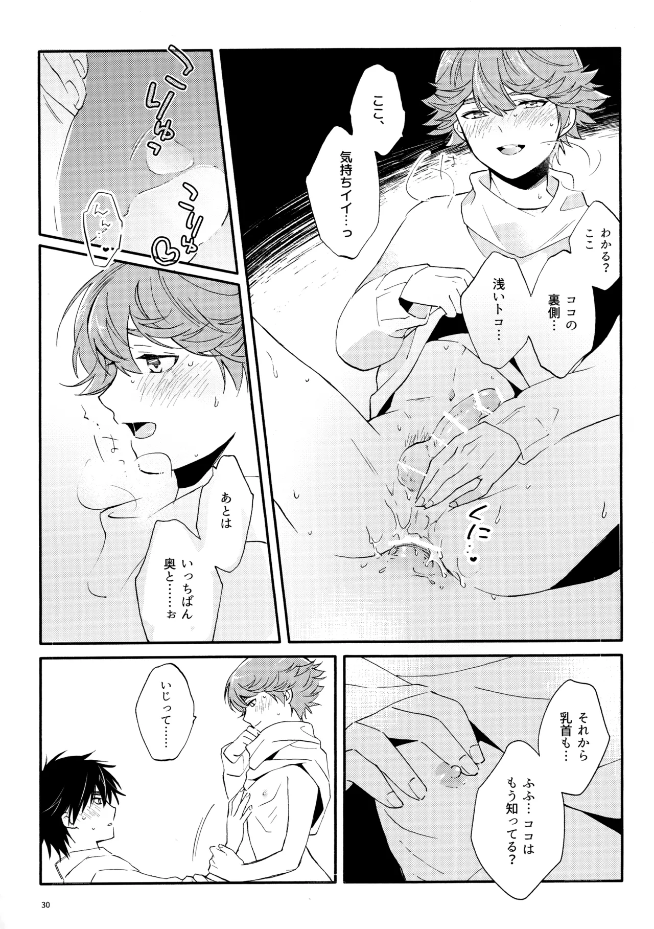 マイディアスワップ - page29