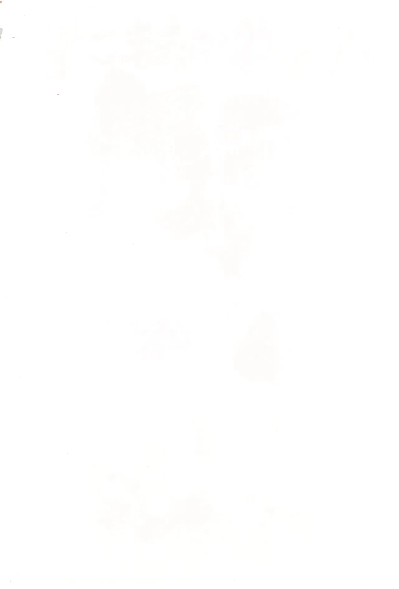 へんなおままごと - page2