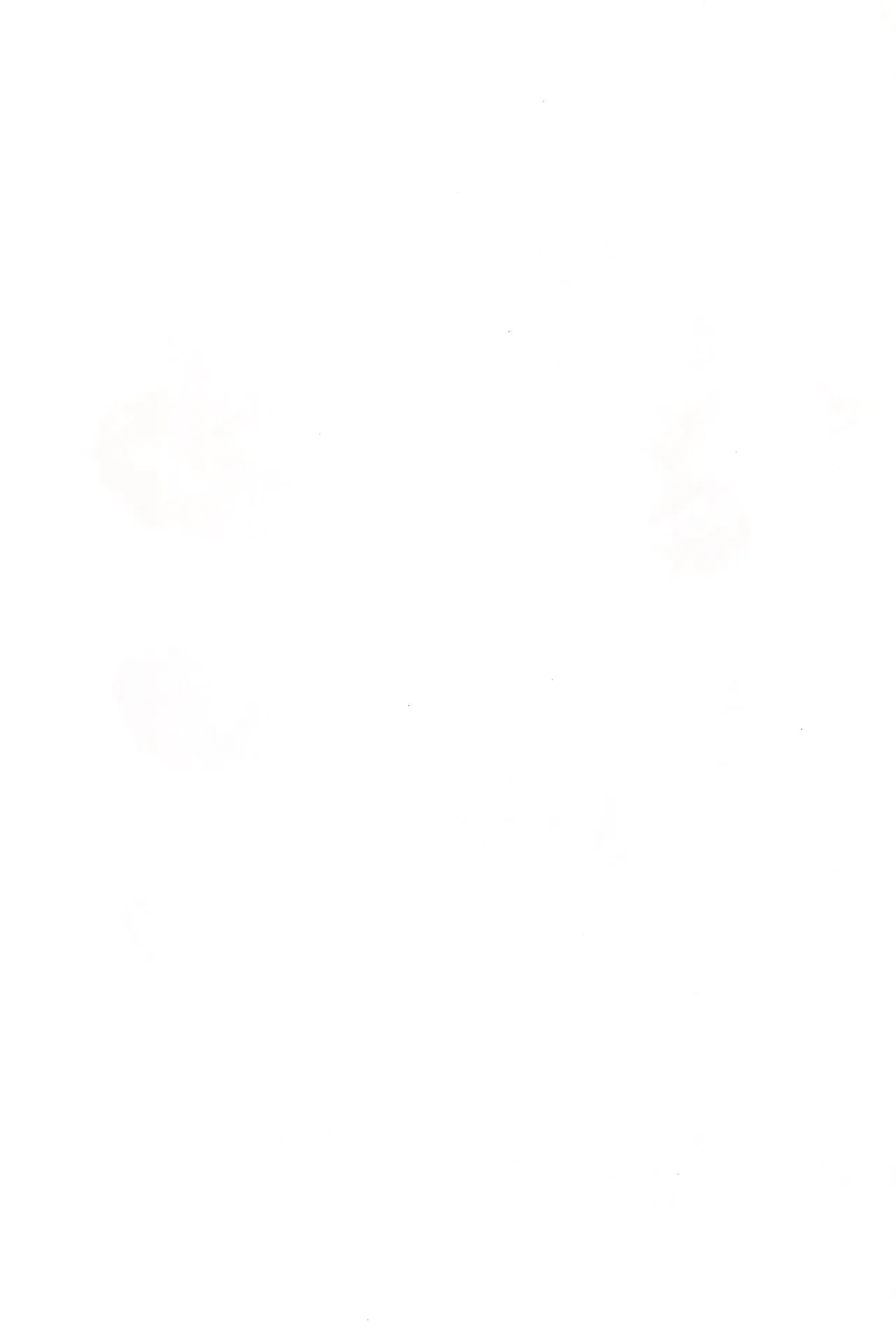 へんなおままごと - page7