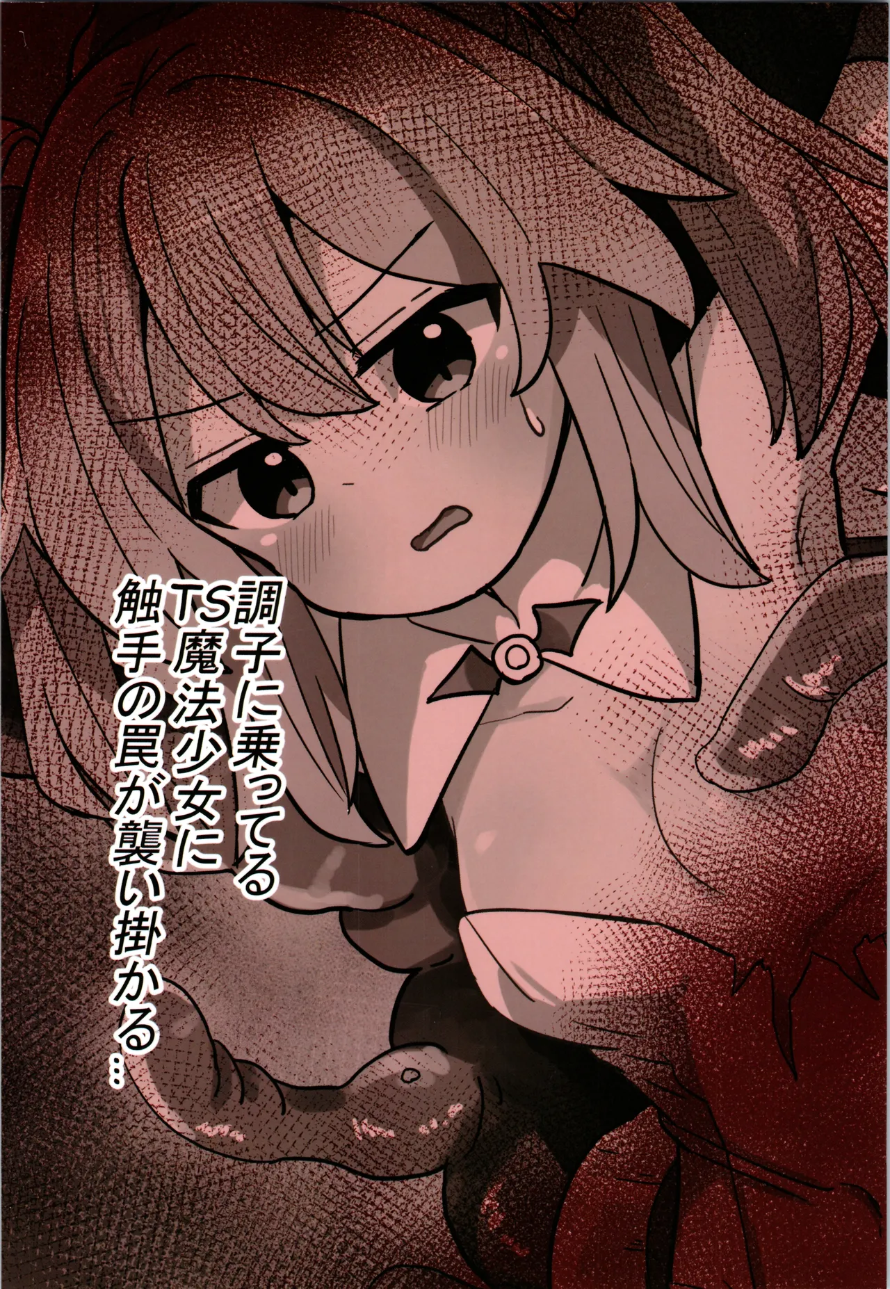 TS魔法少女、触手に堕ちる - page20